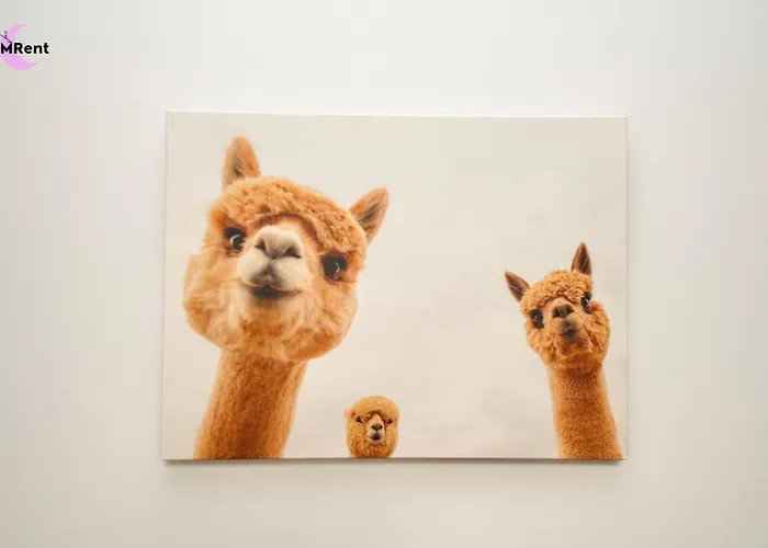 Homestay Mmrent Fox *