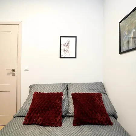 Mmrent Fox * グダニスク