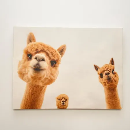 ホームステイ Mmrent Fox *